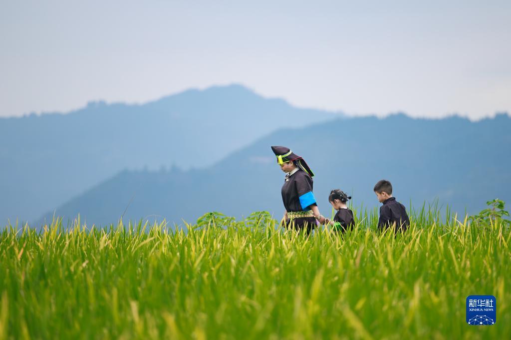 33178游戏中心